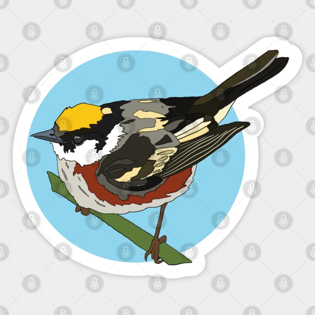 Chestnut Sided Warbler Sticker by New World Aster 